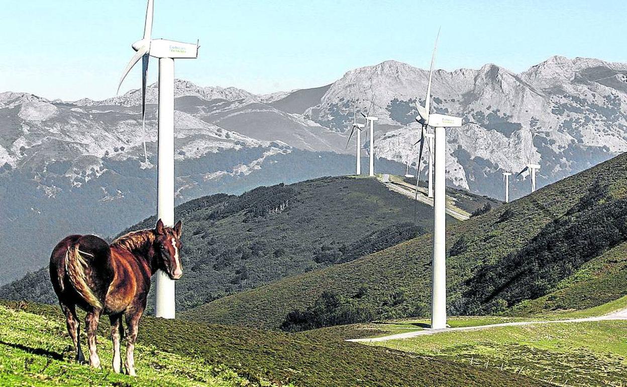 Álava buscará ubicaciones para otros parques eólicos tras la renuncia a Arkamo e Iturrieta