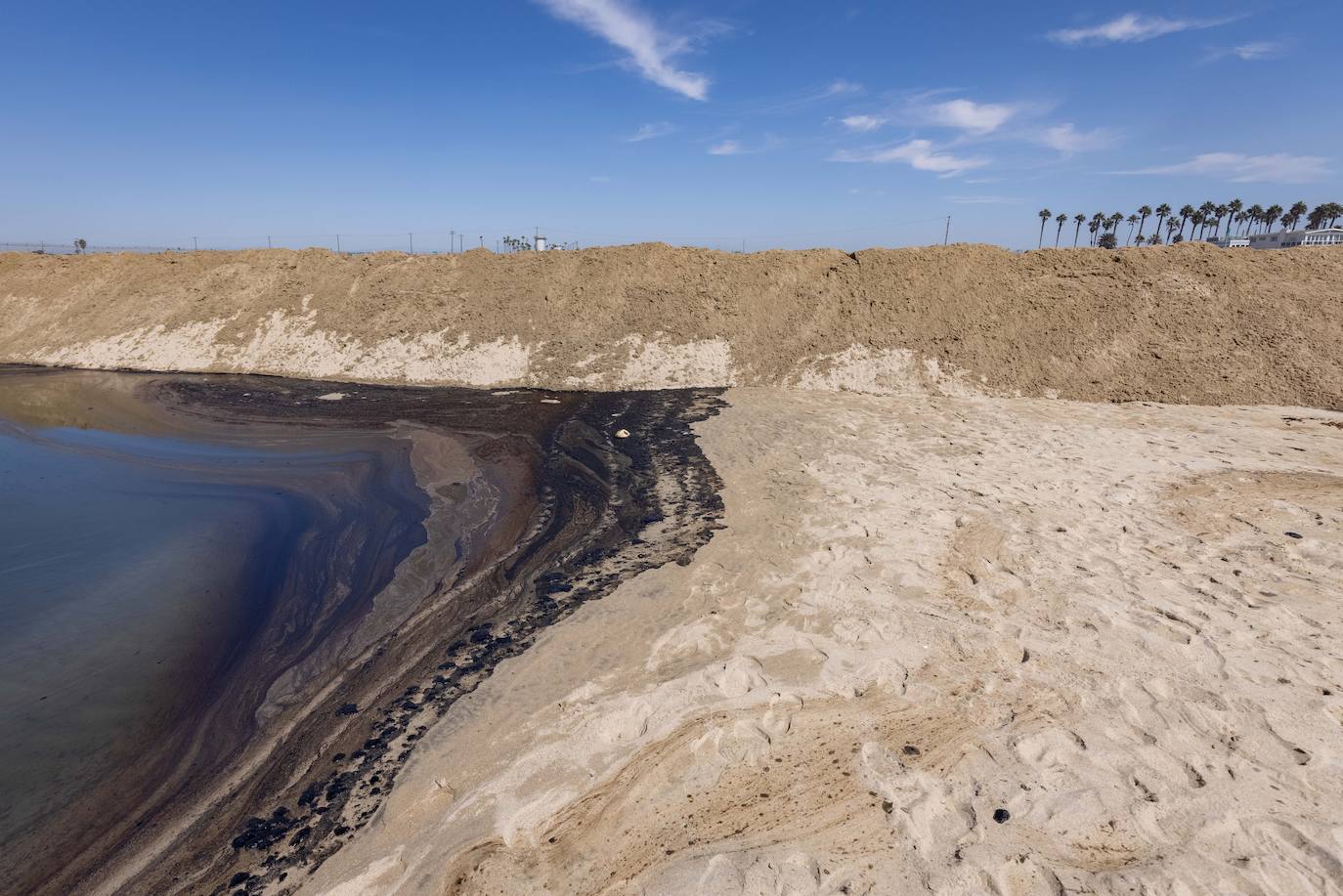 Fotos: Desastre medioambiental en la costa de Los Angeles