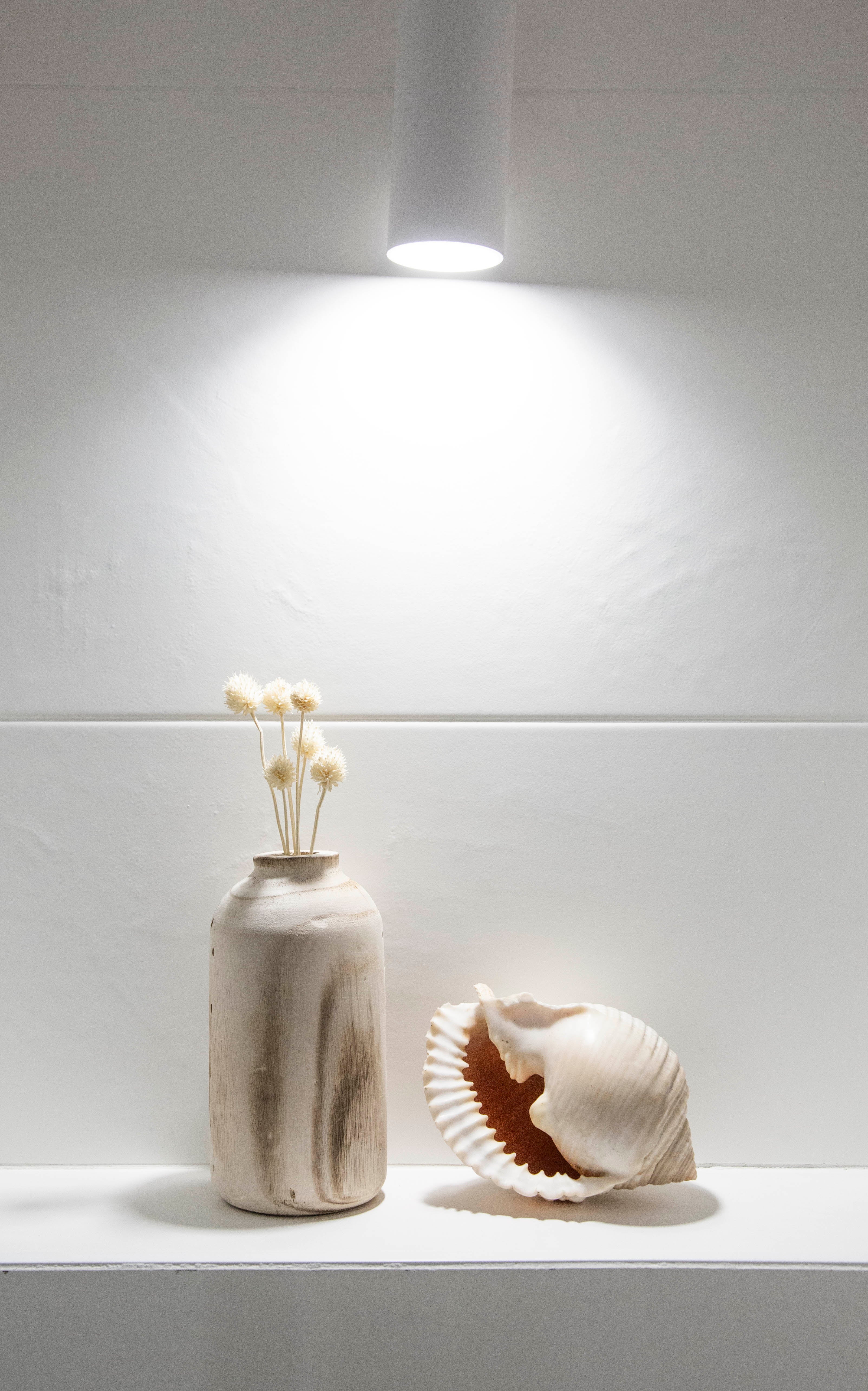 Pisos en Bizkaia, reforma de una vivienda en Bakio