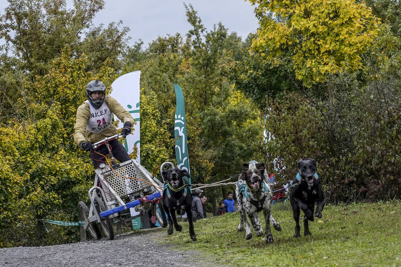 Fotos: El mushing toma el bosque de Armentia