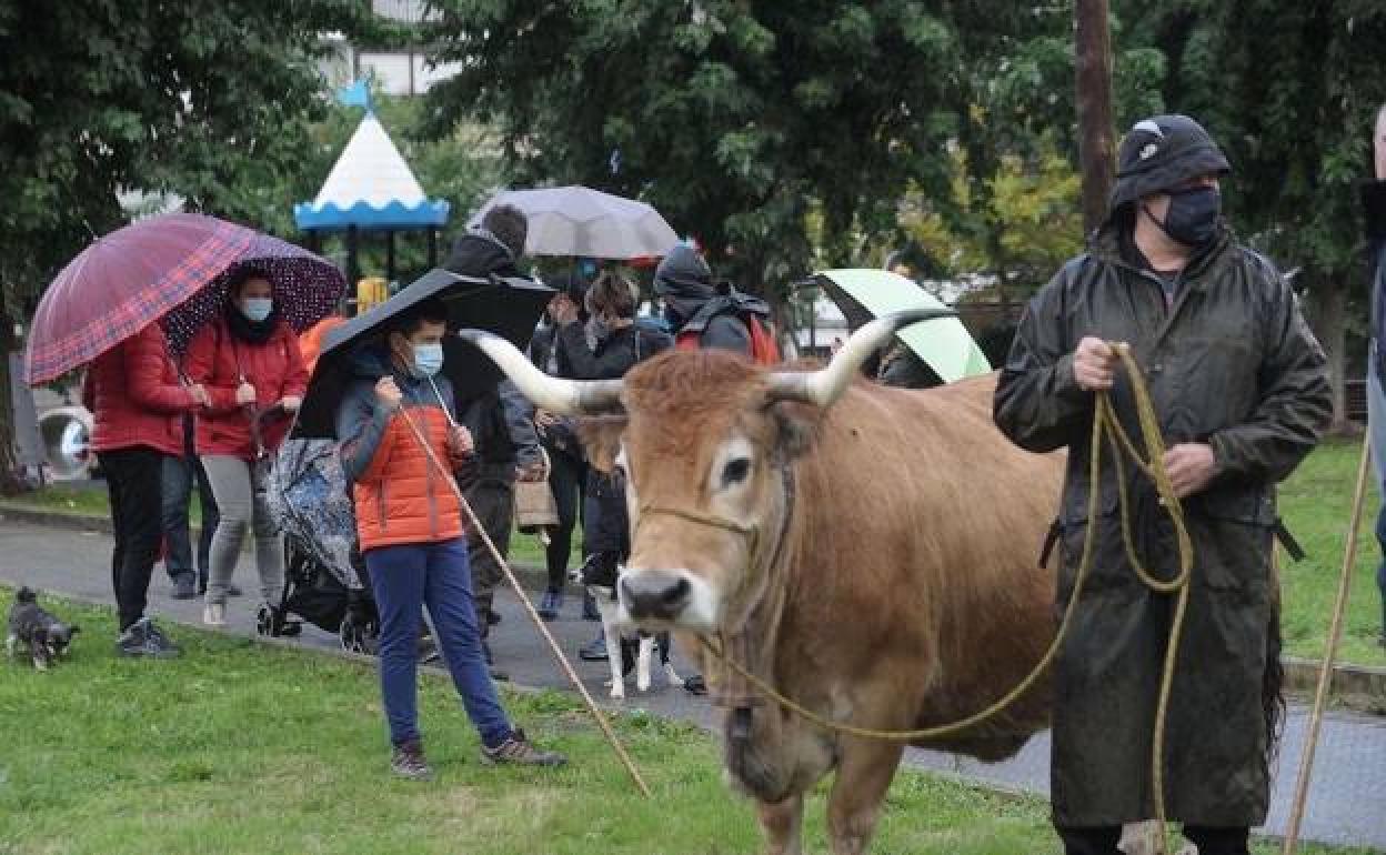 Protesta de los ganaderos celebrada en octubre del pasado año. 