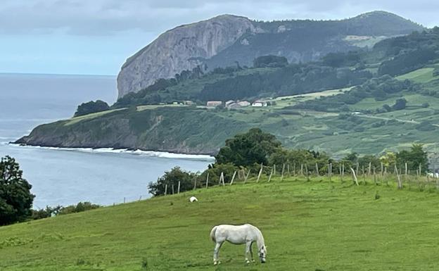 El peñón de Ogoño se asoma en Katillotxu, sobre Bermeo.