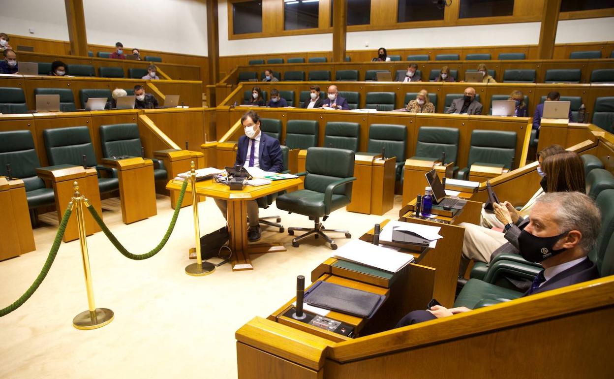 Un momento de la sesión de este jueves en el Parlamento vasco.