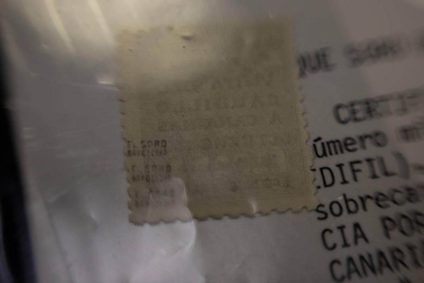 Fotos: Las antigüedades toman el BEC