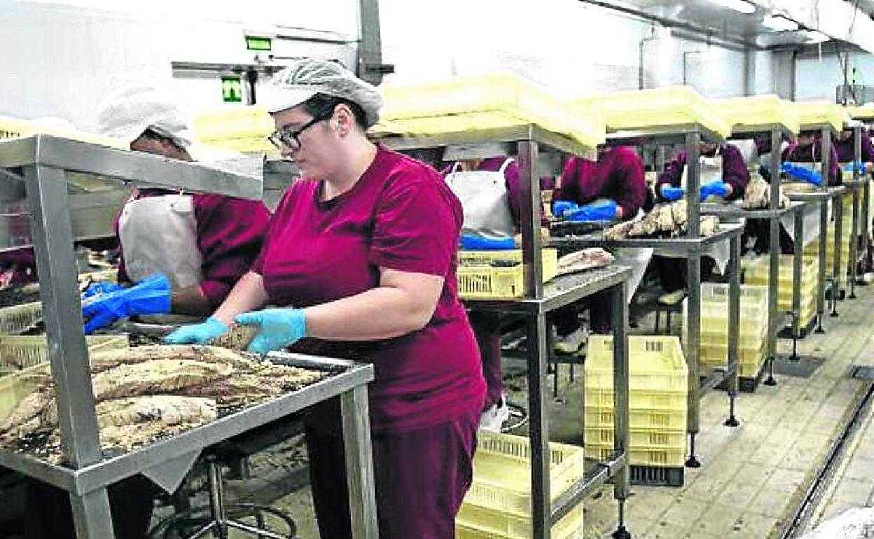 Trabajadoras en una conservera. 