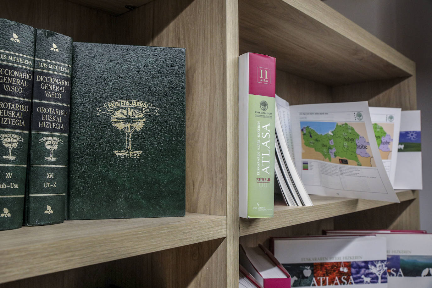 Fotos: Euskaltzaindiak Gasteizko &#039;etxe&#039; berria estreinatu du