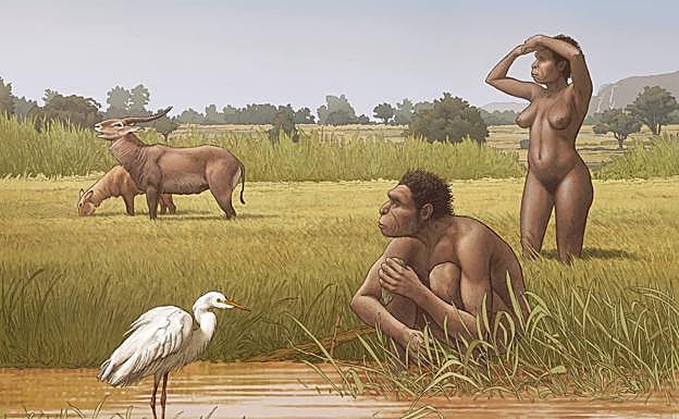 Dos individuos de la nueva especie en África