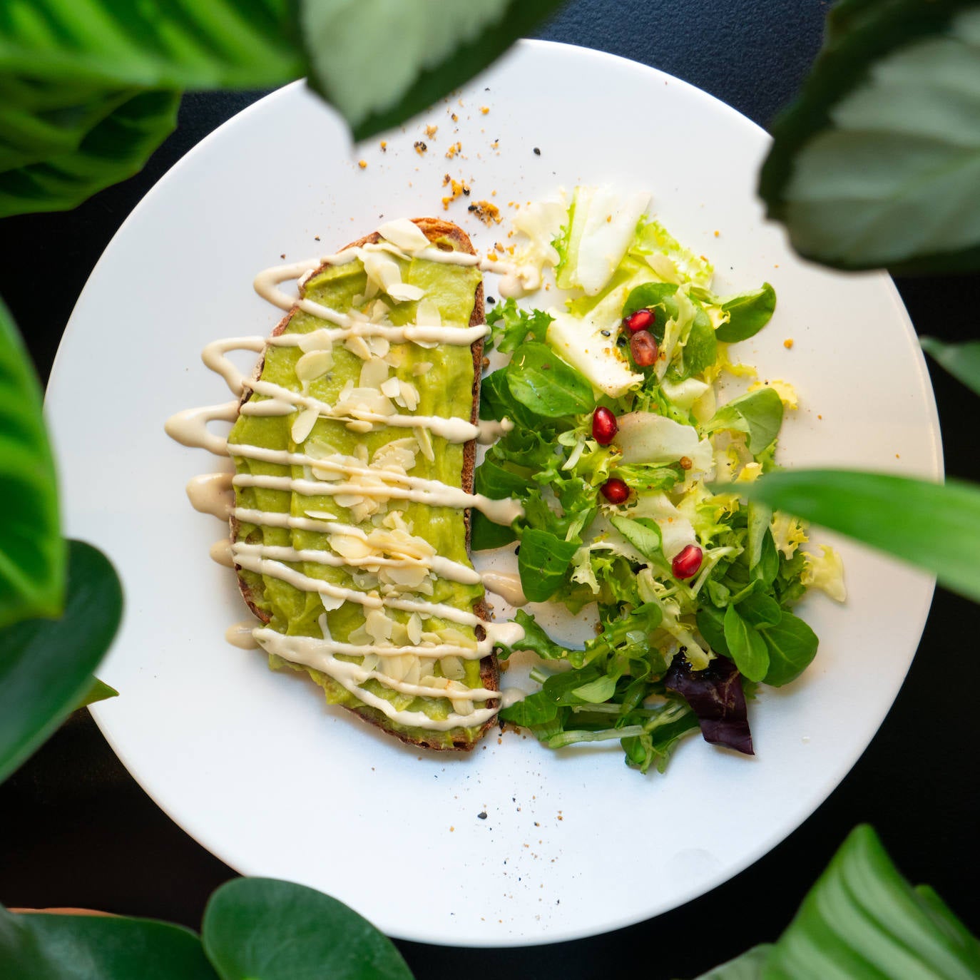 Fotos: ¿Café y plantas? Una pareja de viajeros abre en Bilbao este novedoso local