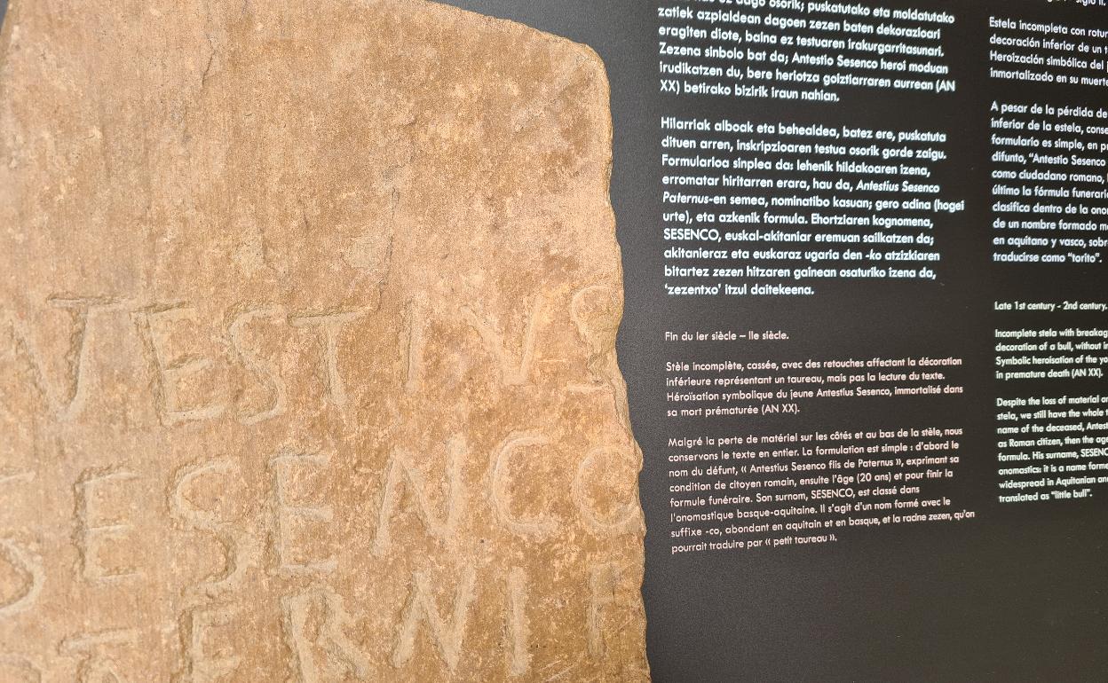 Erakusketa honek Soriako Tierras Altas eskualdean antzemandako hainbat objektu arkeologiko ematen ditu ezagutzera. 