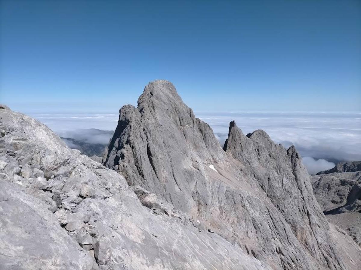 Vistas al Pico Cabrones desde el Torrecerredo (Picos de Europa)