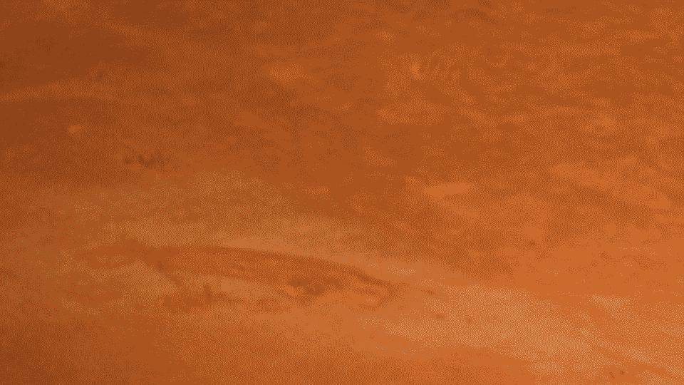 Carlitos Alcaraz: músculos, ajedrez, espaguetis y 5 millones en el bolsillo