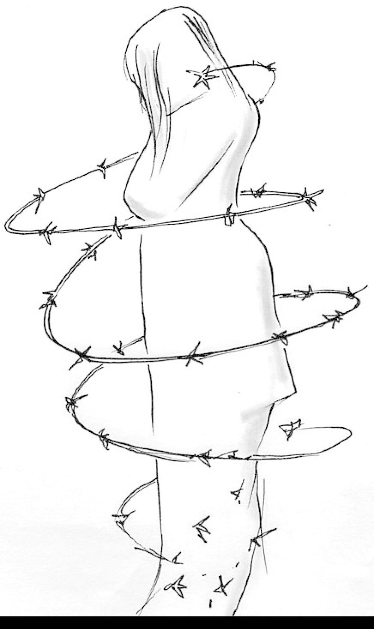 Mariposas en noviembre