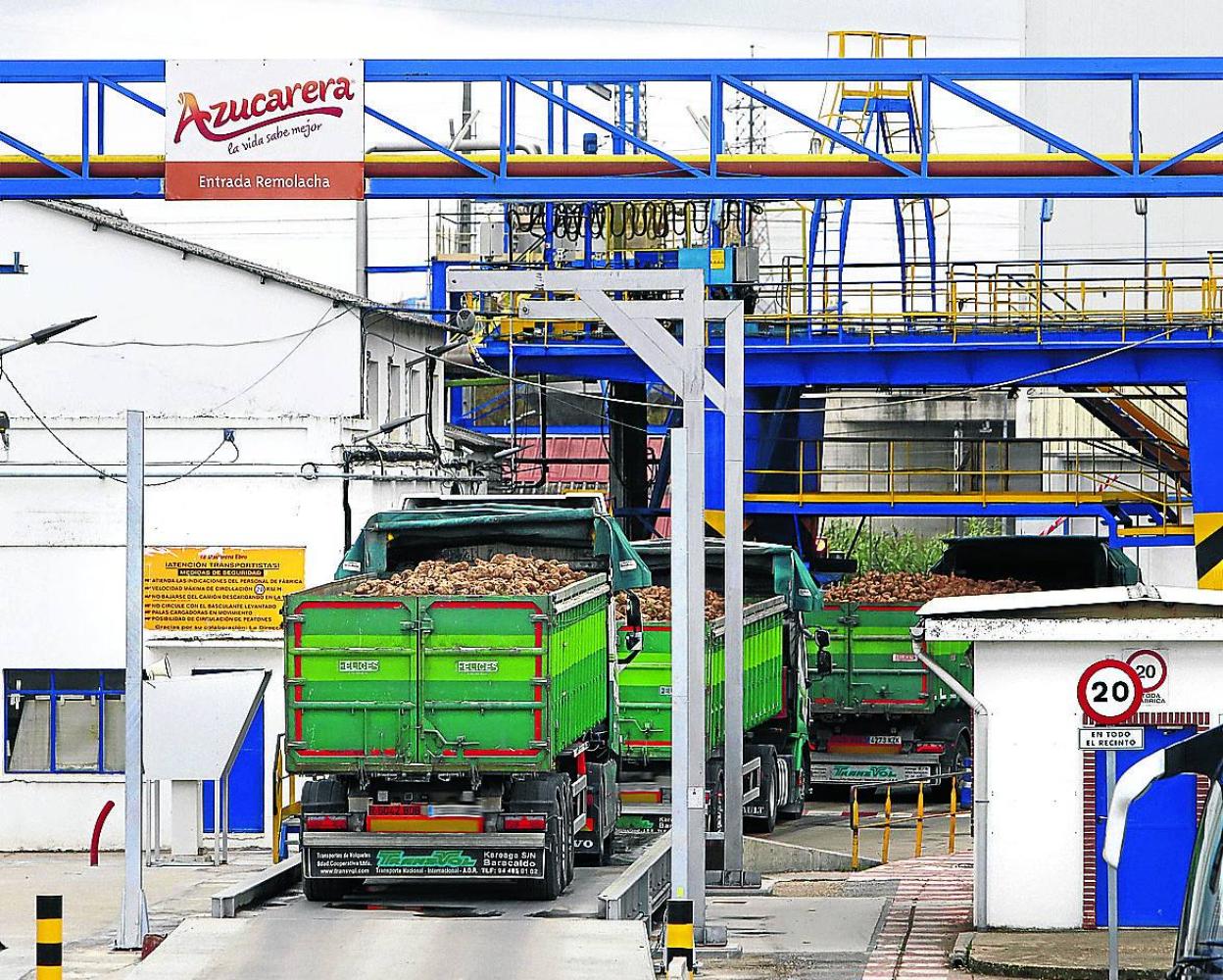La campaña de Azucarera se prolonga 6 días más, hasta el 23 de diciembre