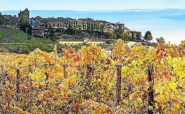 La polémica ha generado una profunda división en Rioja Alavesa y un tremendo rechazo en La Rioja.