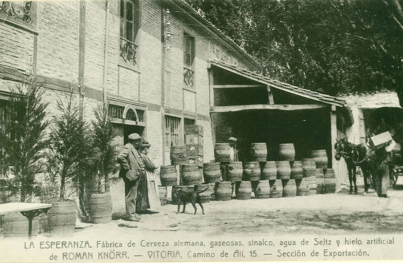 Roman Knörr, que era maestro cervecero en Baden, se trajo a Vitoria la matería prima y dicen que el lúpulo aquel aún crece a orillas del Zadorra.