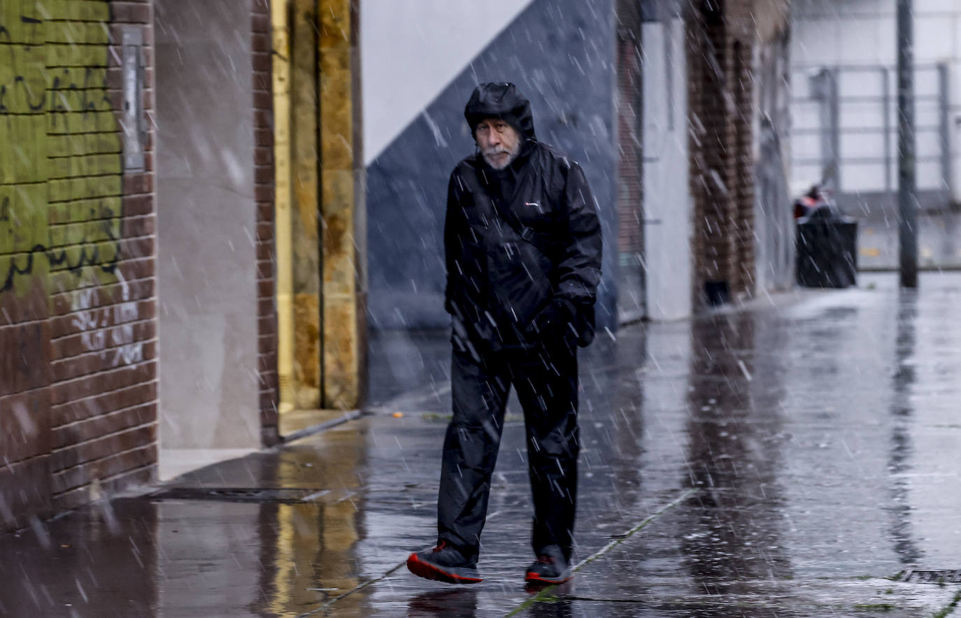 Fotos: Los primeros copos de nieve caen sobre Vitoria