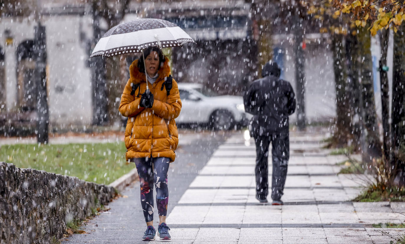 Fotos: Los primeros copos de nieve caen sobre Vitoria