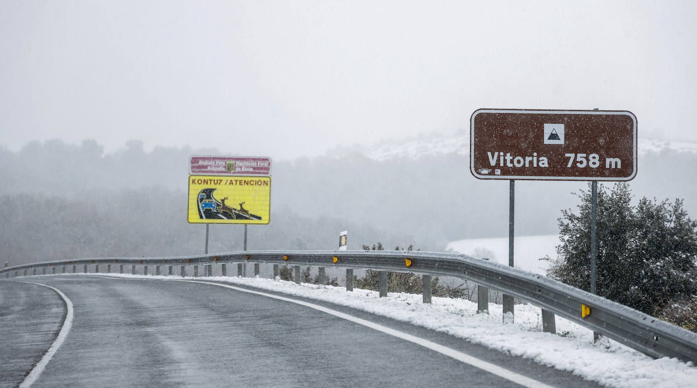 Fotos: Los primeros copos de nieve caen sobre Vitoria