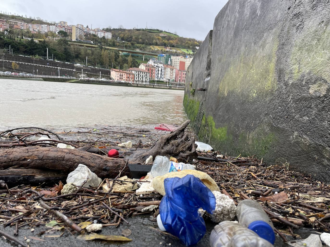 Restos de arbolado en el cauce en la ribera de Deusto, Olabeaga.