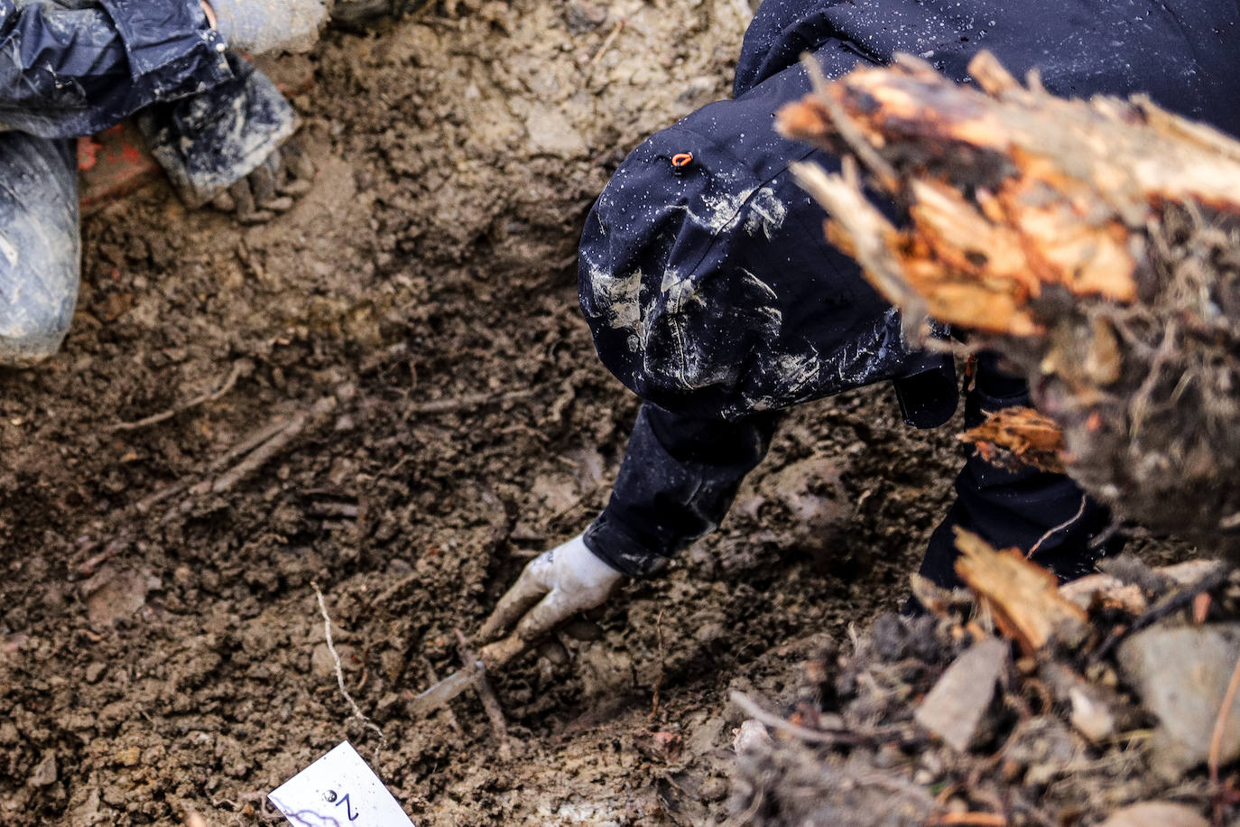 Fotos: Comienza la exhumación de 60 víctimas de la Guerra Civil en el cementerio de Begoña