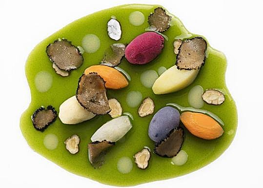 tubérculos en Infusión de hierbas.