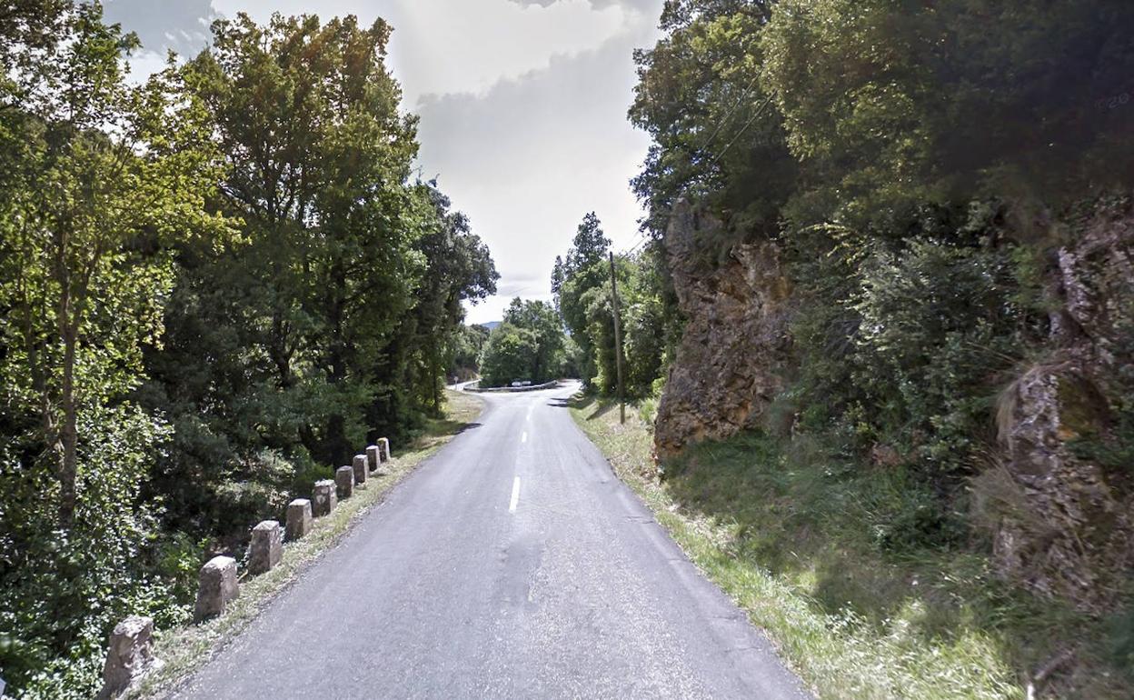 Imagen de la carretera que une San Vicente de Arana y Santa Cruz de Campezo. 