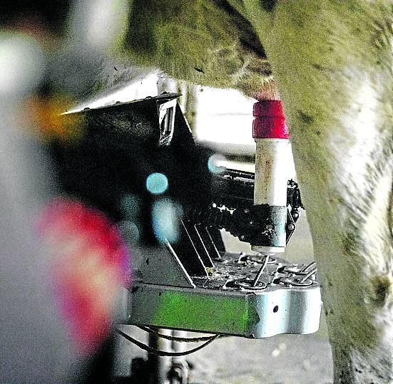 Imagen - Detalle del robot.