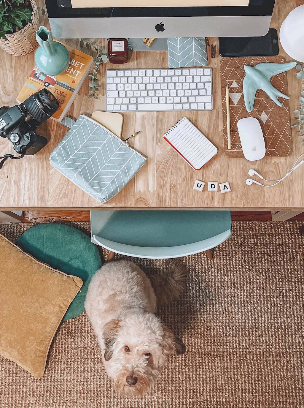 Fotos: La pareja vizcaína que rescata los colores del verano en pleno invierno con sus accesorios