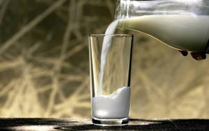 Botella de leche: 91 ptas / 1,25 € (208 ptas)