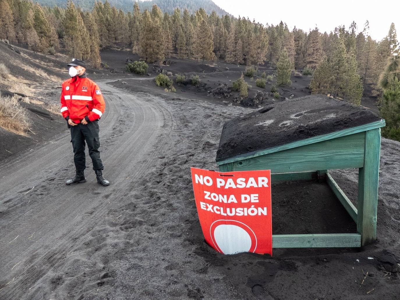 Fotos: Volcán de La Palma: fin a 85 días de destrucción