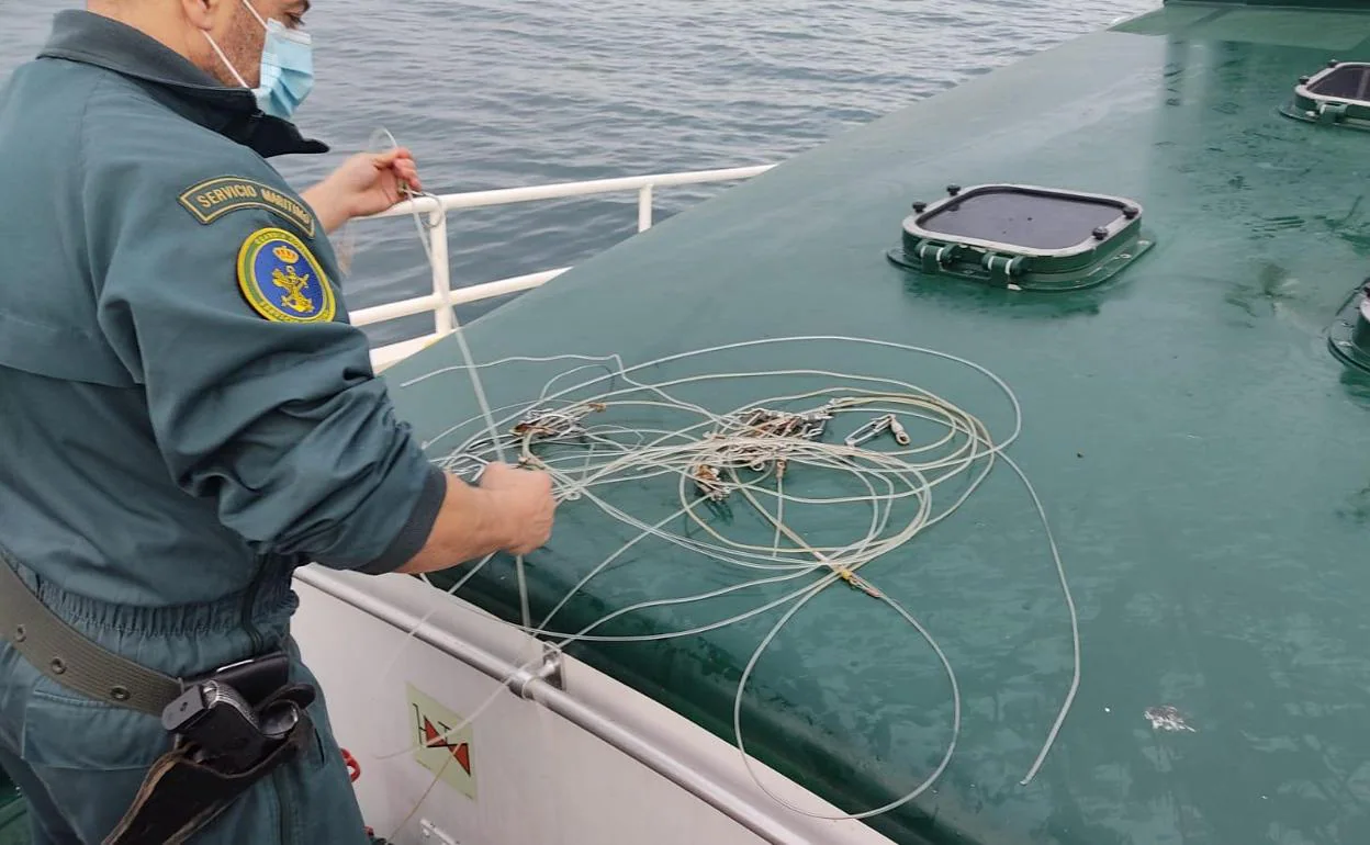 Pesca ilegal en Bizkaia: la Guardia Civil interviene un palangre de 150  metros en Ea para la captura de marrajos (tiburón mako)