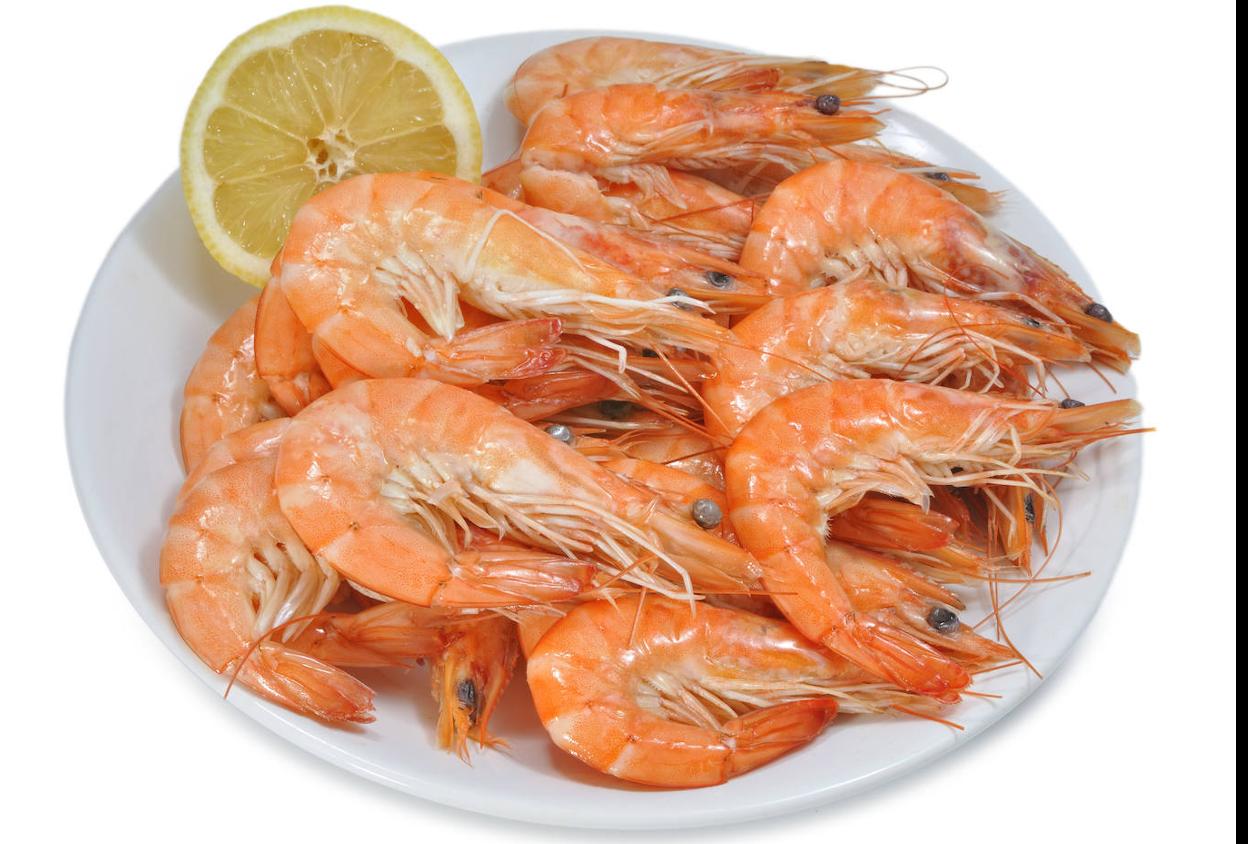 Langostino, el rey de las fiestas