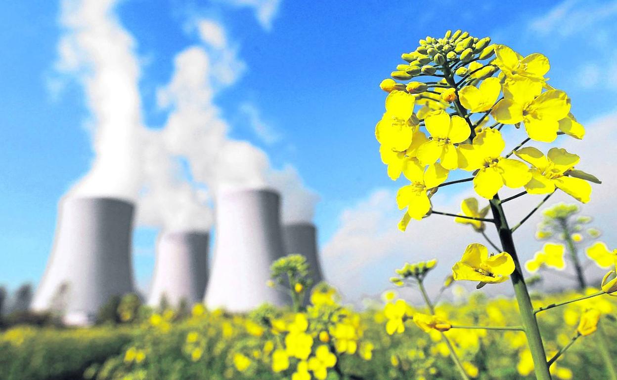 enaguas Sinis cocina Es la nuclear una energía verde? | El Correo