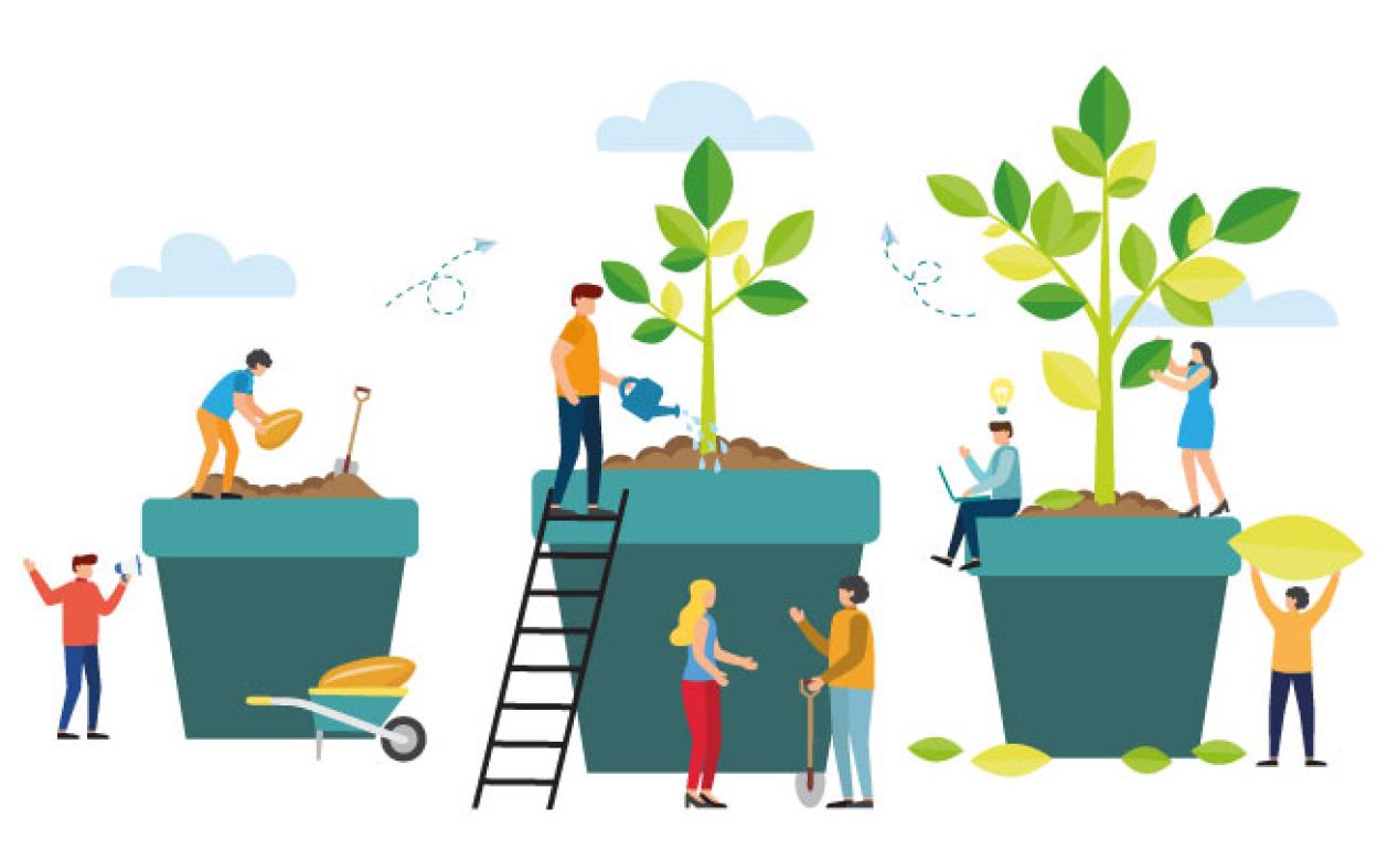 Seis respuestas que buscabas para empezar a tener plantas en casa