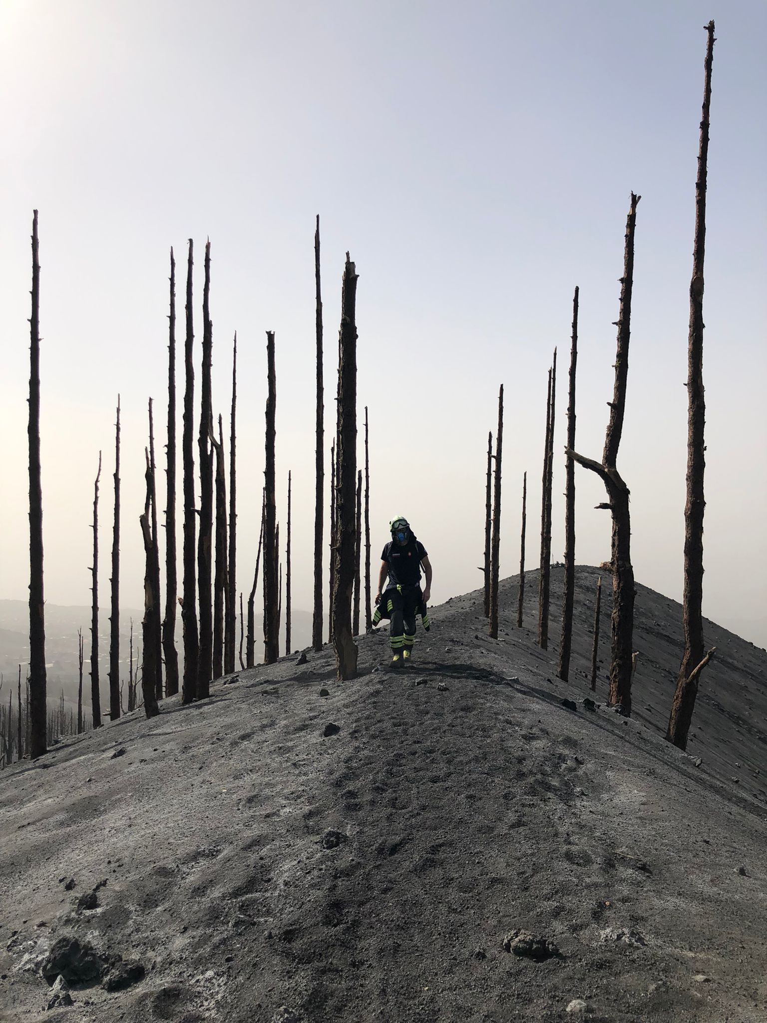 Fotos: Los Bomebros de Bilbao, en el volcán Cumbre Vieja