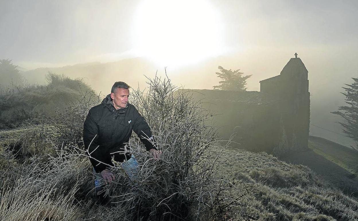 Jorge Cabanellas avanza entre la maleza que domina el área cercana a la iglesia vieja de Fontecha. 
