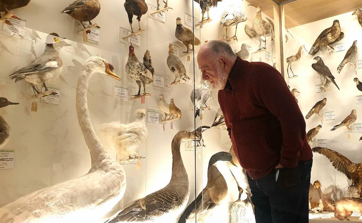 Enrike Huerta, responsable del Museo de Mañaria, en una de las salas recién abiertas al público. 