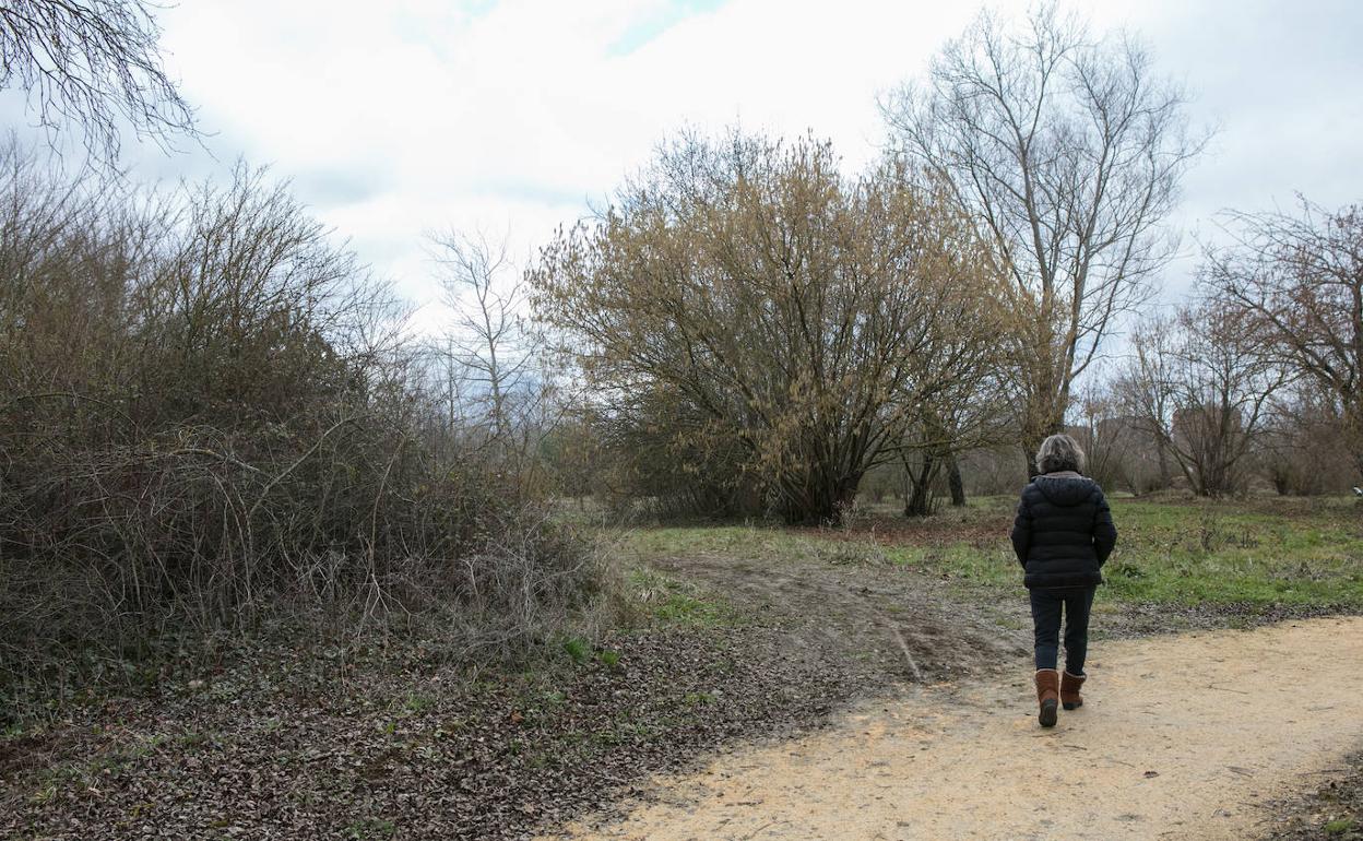 Los ertzainas rescataron a la mujer perdida cerca del acceso principal al parque de Olárizu. 