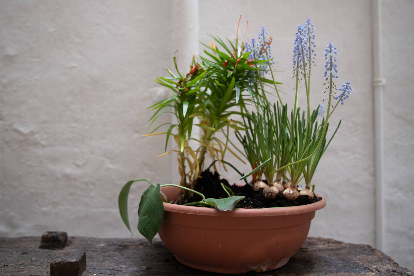 Fotos: El desconocido callejón de Bilbao lleno de arte y artesanía que recuerda a Santorini