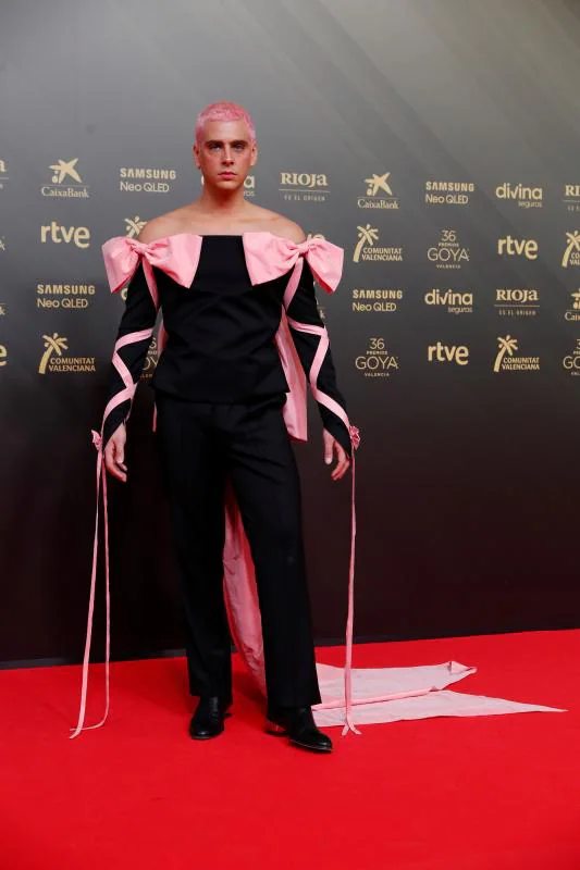 cartucho columpio Sociología Fotos: Los peores vestidos de la alfombra roja en los Premios Goya 2022 |  El Correo