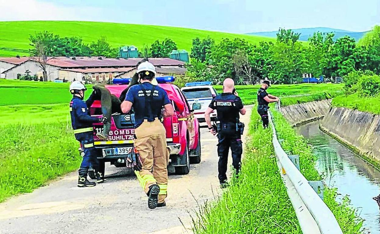 Bomberos actúan en el canal del río Alegría para rescatar a un corzo