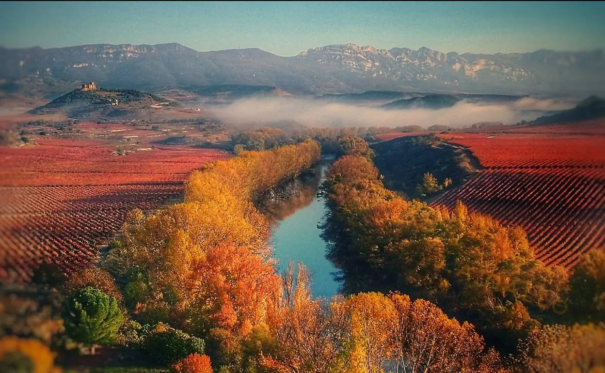 El Gobierno diseña la ampliación de la Red Natura, incluida la ribera del  Ebro | El Correo