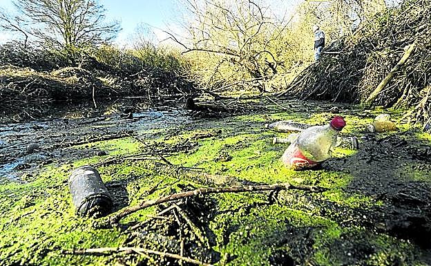 La ramas crean una presa de basura en Asteguieta. 