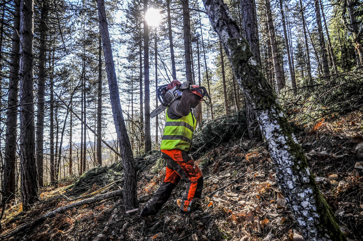 Fotos: Así trabajan los rematantes en Álava, uno de los oficios más duros que existen