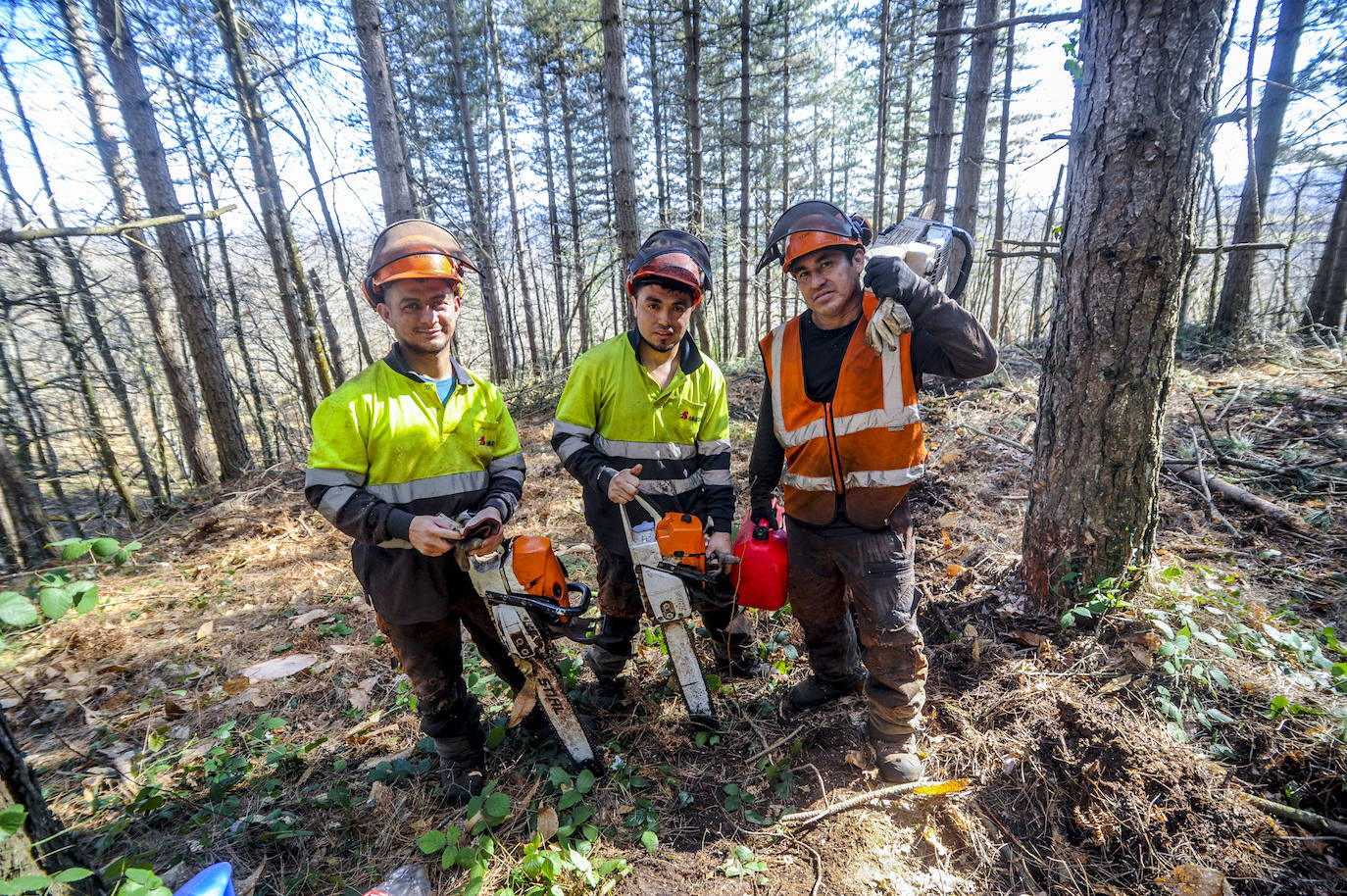 Fotos: Así trabajan los rematantes en Álava, uno de los oficios más duros que existen