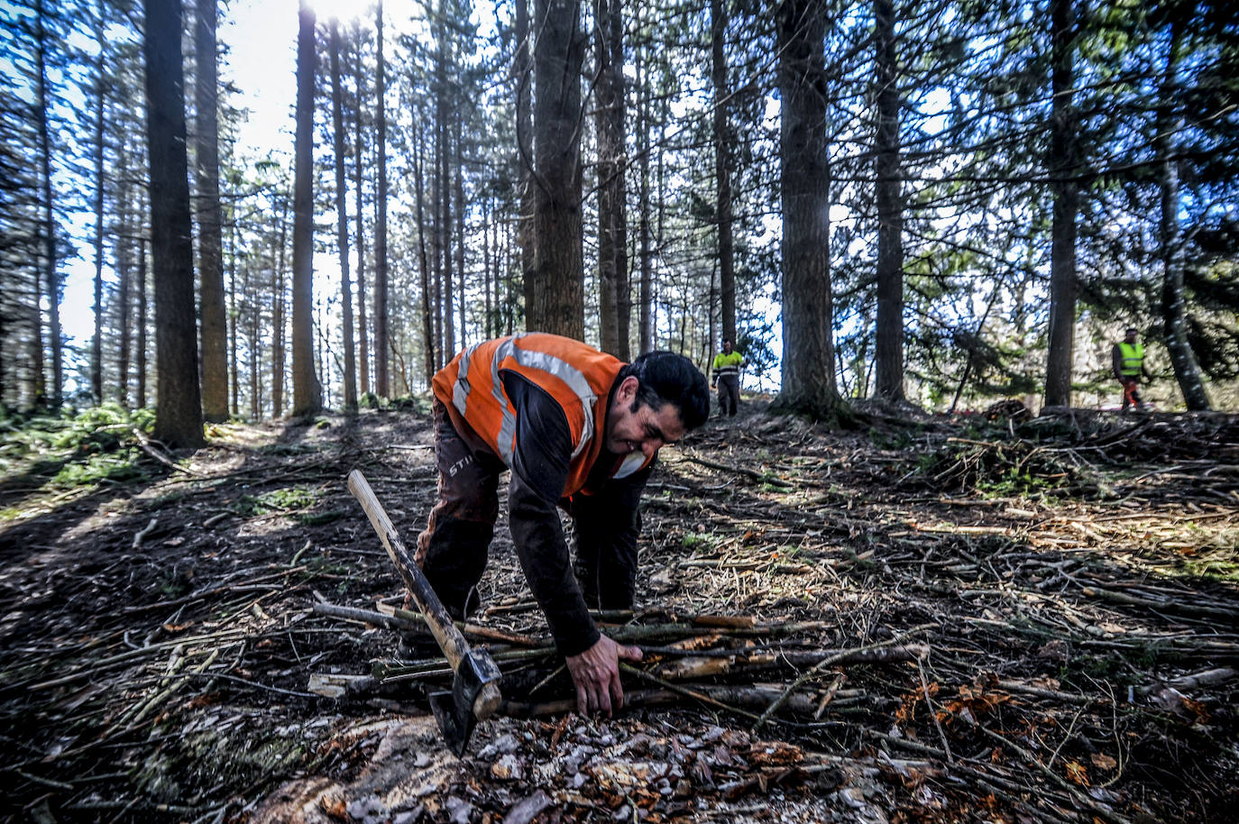 Fotos: Así trabajan los rematantes en Álava, uno de los oficios más duros que existen