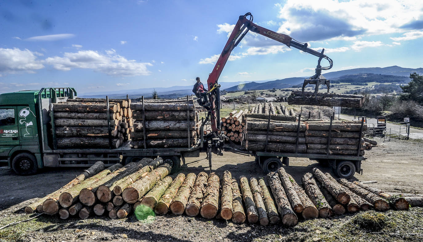 Fotos: Así trabajan los rematantes en Álava, uno de los oficios más duros que existen