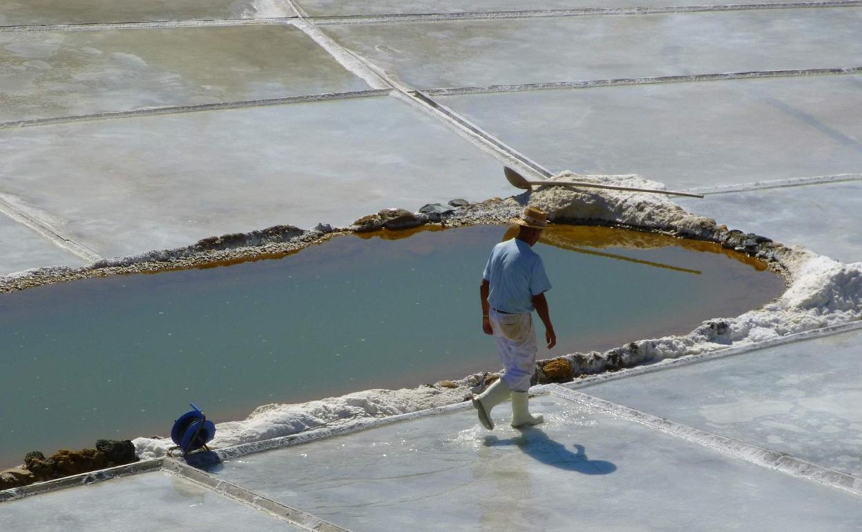Añanako Gatz Harana gatz-burbuila handi batean gainean metatuta dago. 