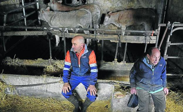 Aitor Casillas y su tío Antonio, en la granja que surte a la carnicería de Portugalete Hermanos Arrien. 