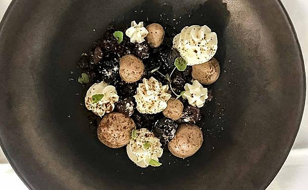 Bosque negro revisitado.